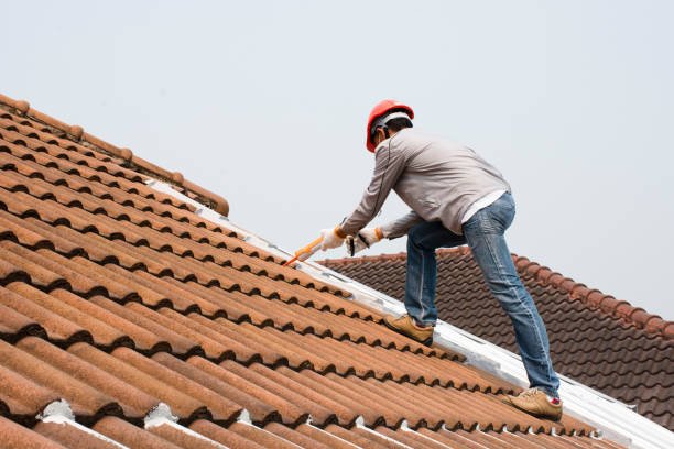 Best Sheet Metal Roofing  in Sheldon, IA