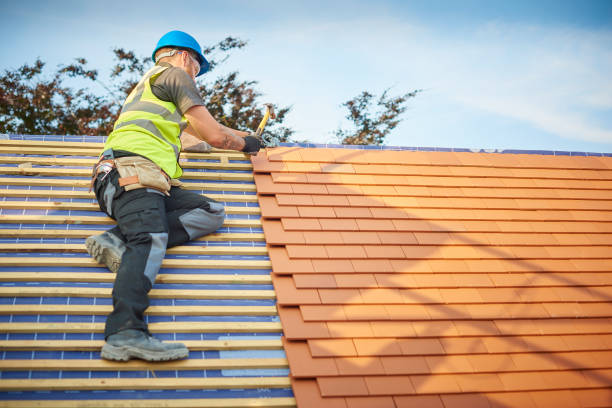 Best Gutter Installation and Repair  in Sheldon, IA